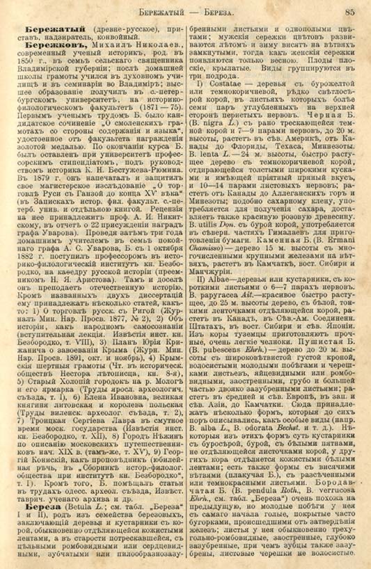 с. 085 'Большая Энциклопедiя. Том 3' 1902