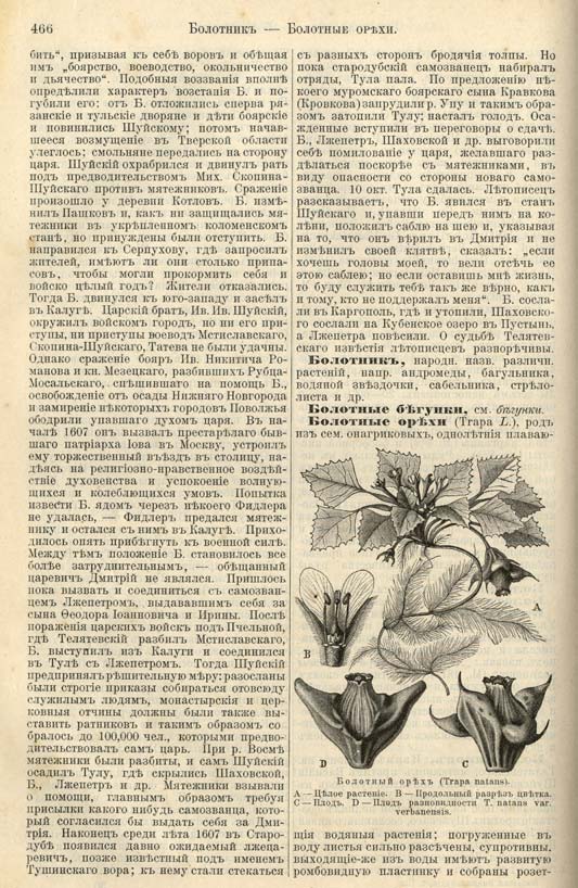 с. 466 'Большая Энциклопедiя. Том 3' 1902