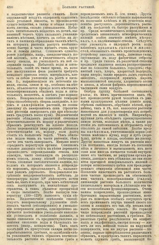 с. 480 'Большая Энциклопедiя. Том 3' 1902