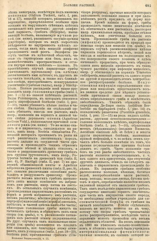 с. 481 'Большая Энциклопедiя. Том 3' 1902