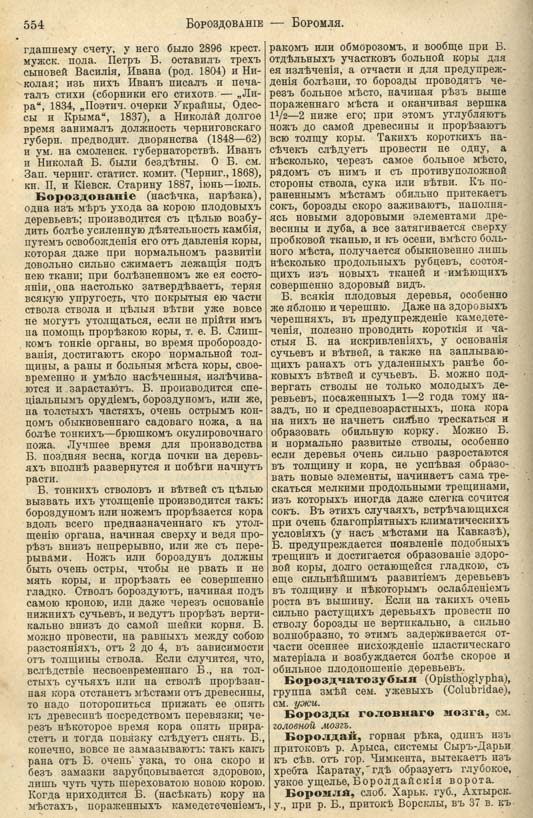 с. 554 'Большая Энциклопедiя. Том 3' 1902
