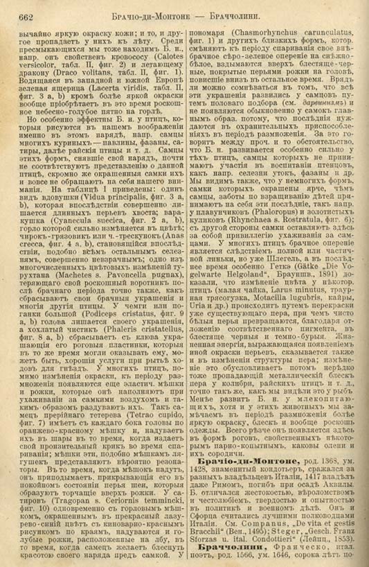 с. 662 'Большая Энциклопедiя. Том 3' 1902