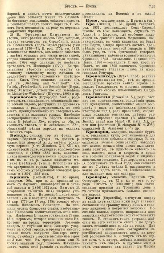 с. 715 'Большая Энциклопедiя. Том 3' 1902
