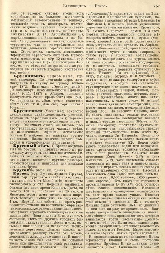 с. 757 'Большая Энциклопедiя. Том 3' 1902