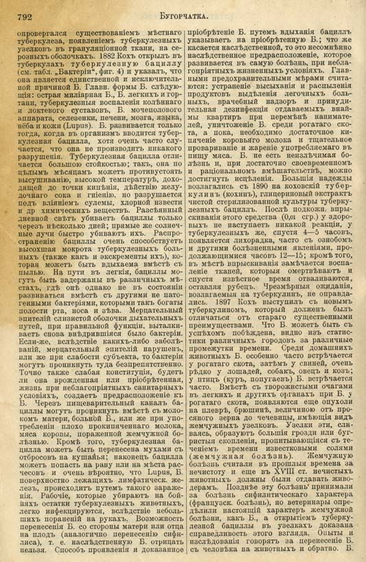 с. 792 'Большая Энциклопедiя. Том 3' 1902