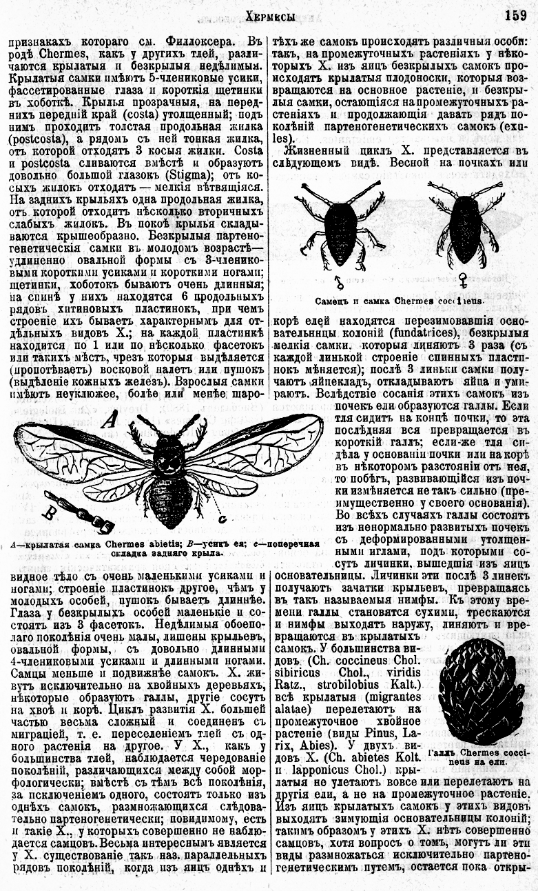 . 159 ' . . 73.  XXXVII ( - )' 1903
