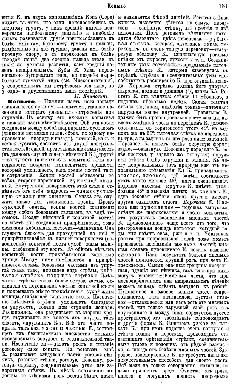 . 181 ' . . 31.  XVI ( - )' 1895