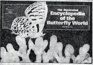 'Мир бабочек'. Иллюстрированная энциклопедия. Лондон, 1976. Суперобложка